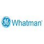 whatman