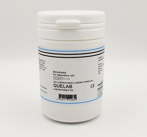 Quelab گزیلور لیزین دزوکسی کولات آگار