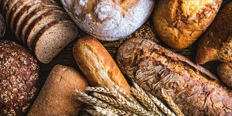 یک دانه باستانی اسرار ژنتیکی را برای انعطاف پذیرتر کردن گندم نان باز می کند