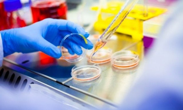 9 Lab Equipment Essentials for Cell Culture Research