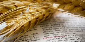 Food Additive E551 Could Promote Celiac Disease