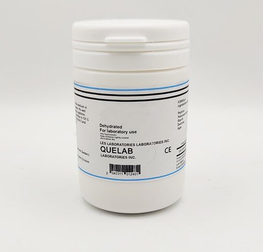 Quelab عکس محیط کشت باسیلوس سیریوس کیولب